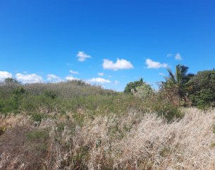 Terrain résidentiel - 4920 m²