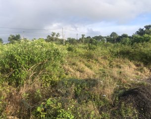 Terrain résidentiel - 539 m²