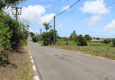 Agricultural land - 11099 m²