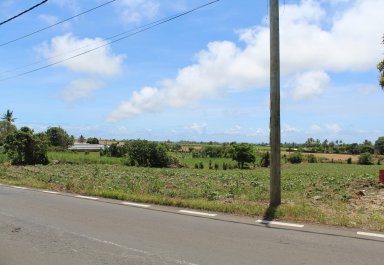 Agricultural land - 11099 m²