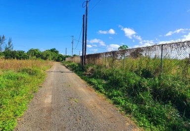 Agricultural land - 4735 m²