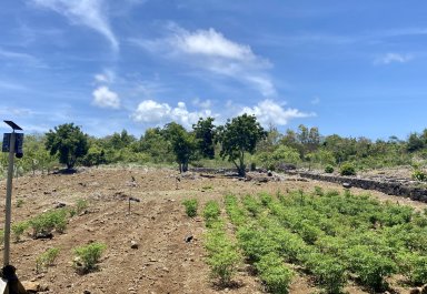 Agricultural land - 6234 m²