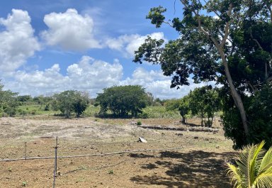 Agricultural land - 6234 m²