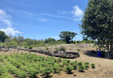 Agricultural land - 6234 m²