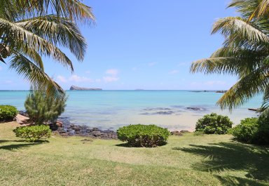 Apartment - 3 Bedrooms - 140 m²