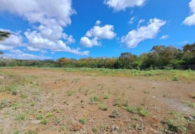 Commercial land - 1894 m²