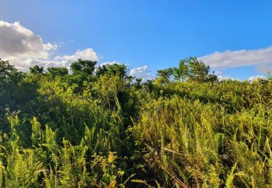 Commercial land - 2604 m²