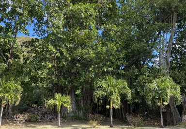 Residential land - 1712 m²