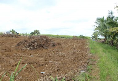 Terrain agricole - 12975 m²