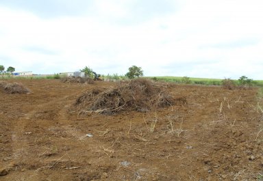 Terrain agricole - 12975 m²
