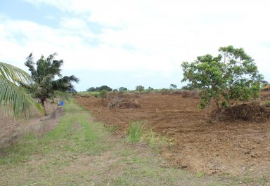 Terrain agricole - 12975 m²