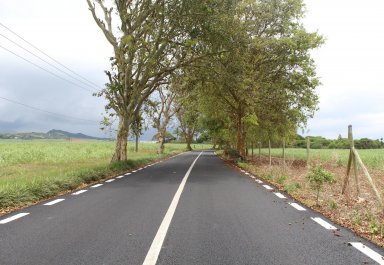 Terrain agricole - 16887 m²