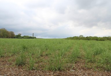 Terrain agricole - 16887 m²