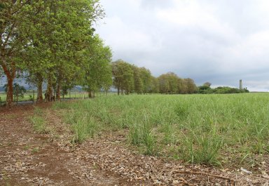 Terrain agricole - 16887 m²