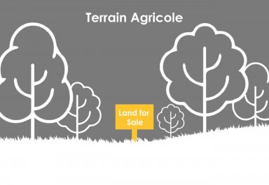 Terrain agricole - 4650 m²