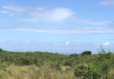 Terrain agricole - 5048 m²