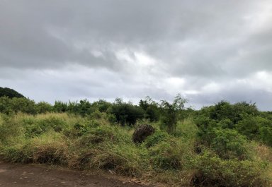Terrain agricole - 5048 m²