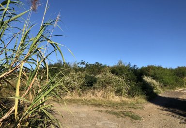 Terrain agricole - 7652 m²