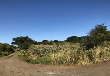Terrain agricole - 7652 m²