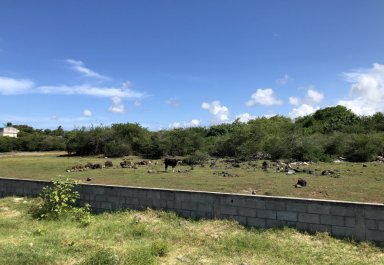 Terrain résidentiel - 9656 m²
