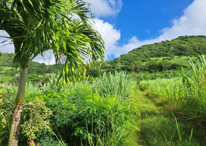 Agricultural land - 1069 m²
