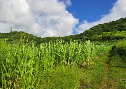 Agricultural land - 1069 m²
