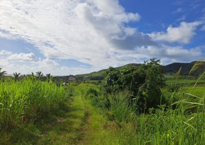 Agricultural land - 1069 m²