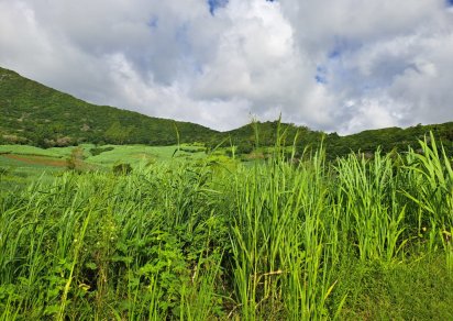 Agricultural land - 1069 m²