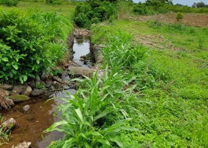 Agricultural land - 11 818.44 m²