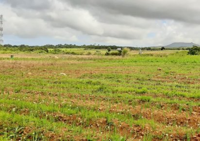 Agricultural land - 11 818.44 m²