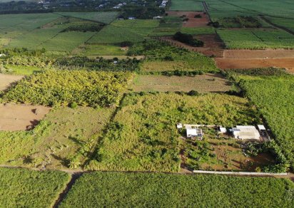 Agricultural land - 12975 m²