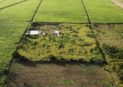 Agricultural land - 12975 m²
