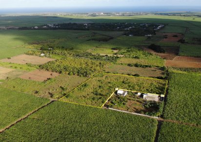 Agricultural land - 12975 m²