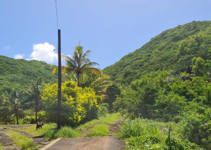 Agricultural land - 1731 m²