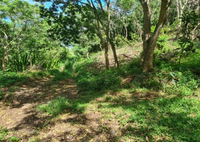 Agricultural land - 1731 m²