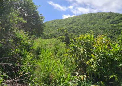 Agricultural land - 1731 m²