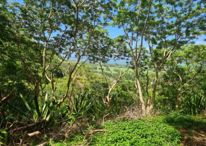 Agricultural land - 1731 m²