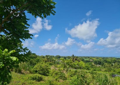 Agricultural land - 1731 m²