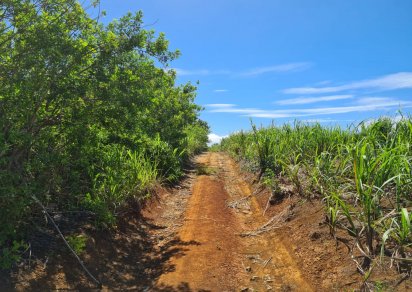 Agricultural land - 1794 m²