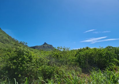 Agricultural land - 1794 m²