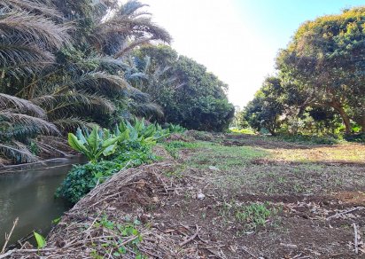 Agricultural land - 18572 m²