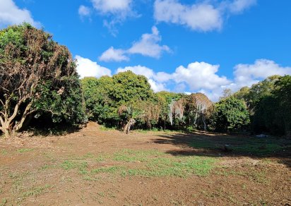Agricultural land - 18572 m²