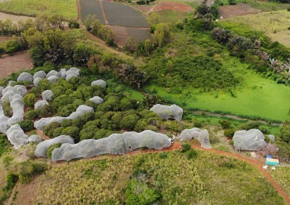 Agricultural land - 18572 m²
