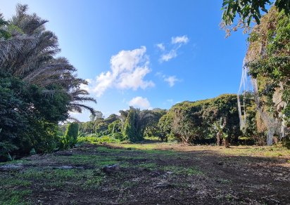 Agricultural land - 18572 m²