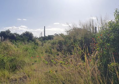 Agricultural land - 1983 m²