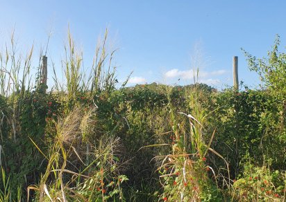 Agricultural land - 1983 m²