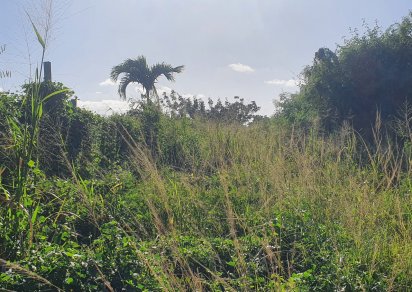 Agricultural land - 1983 m²