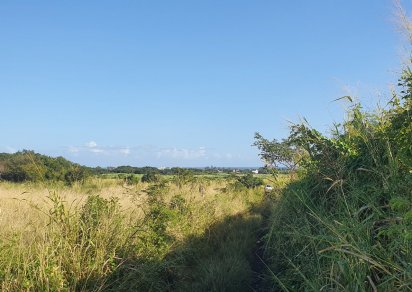 Agricultural land - 1983 m²