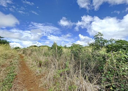 Agricultural land - 2110 m²