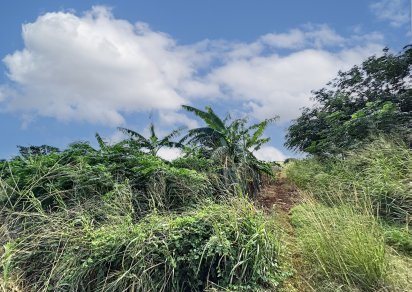 Agricultural land - 2110 m²